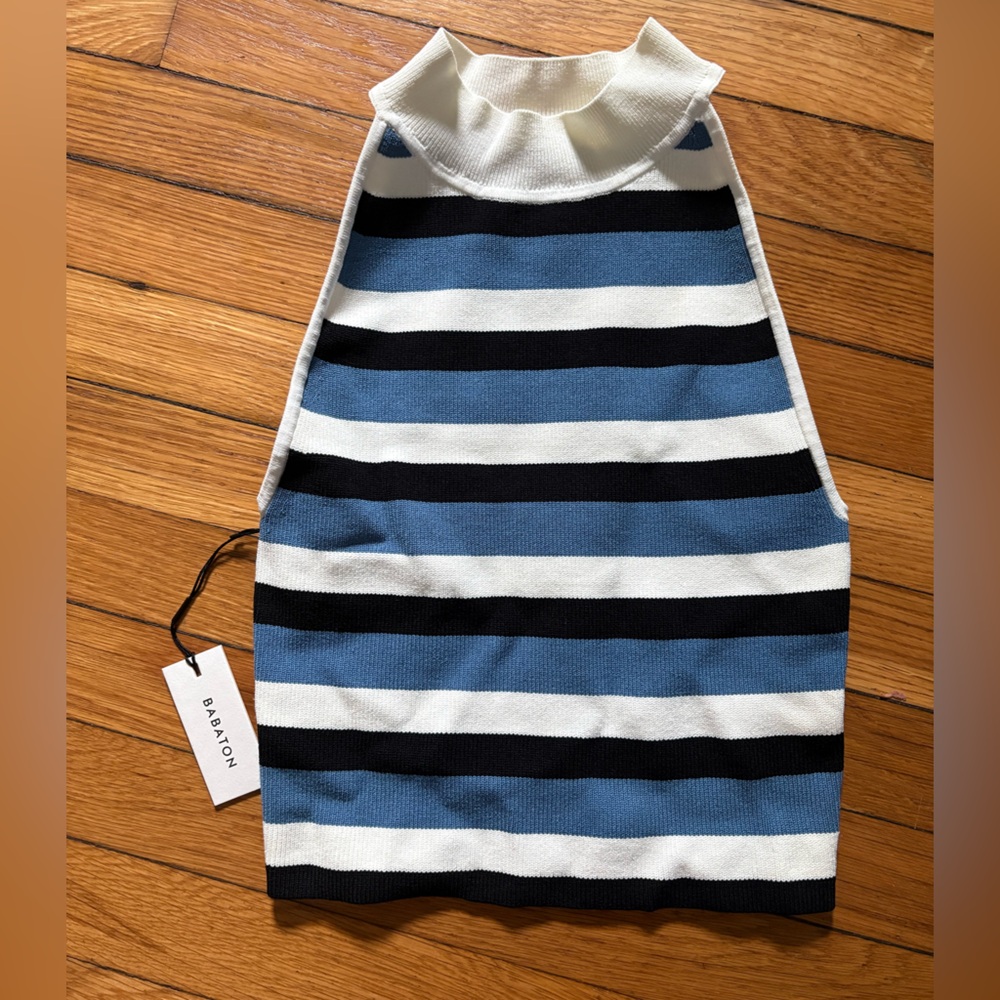 Aritzia Striped Blue and Black Tank Top